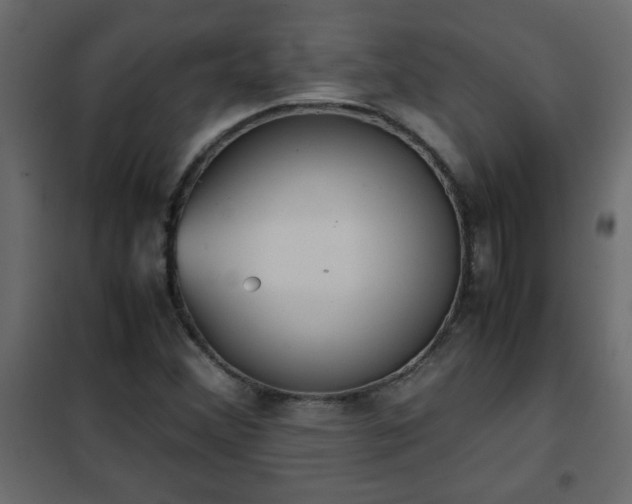 X0000102341356200808081121