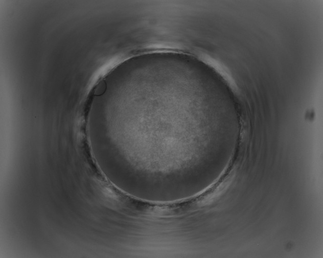 X0000102341357200808081121