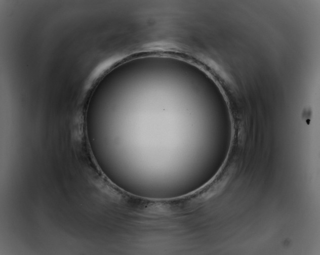 X0000102341358200808081120