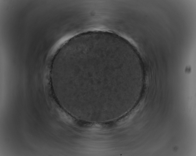 X0000102341359200808081120