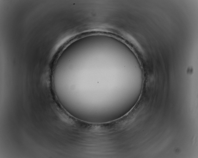 X0000102341360200808081120