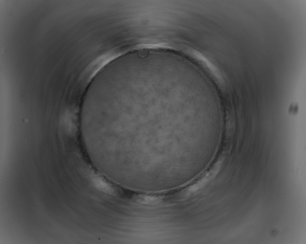 X0000102341361200808081120