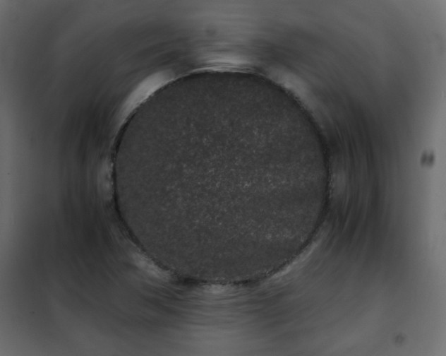 X0000102341362200808081120