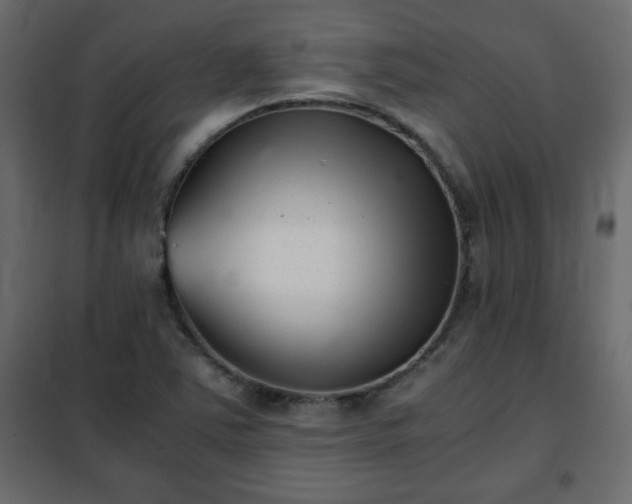 X0000102341363200808081120