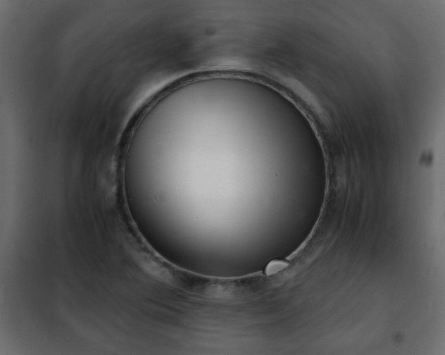 X0000102341364200808081120