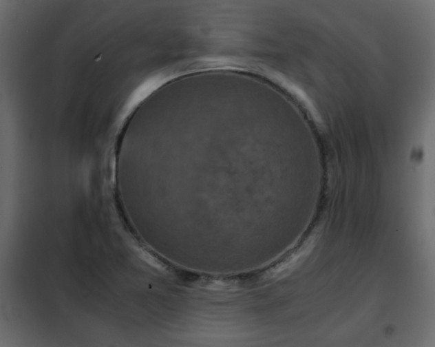 X0000102341365200808081120