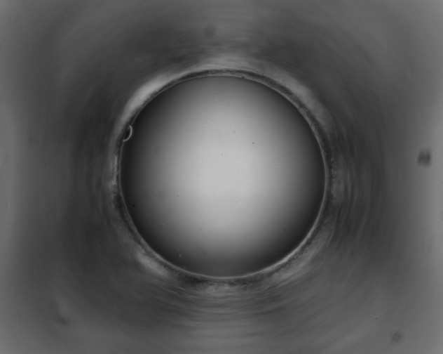 X0000102341366200808081120