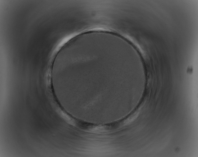 X0000102341367200808081120