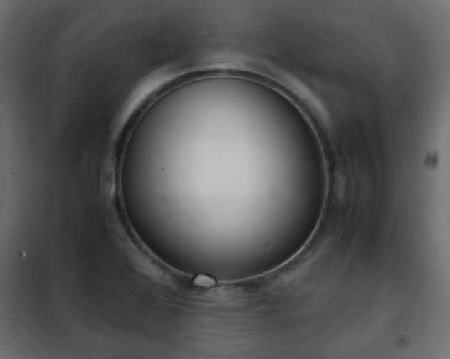 X0000102341368200808081120