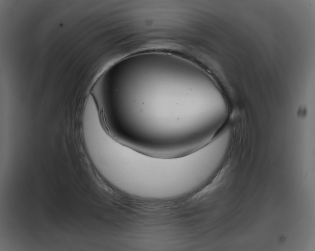 X0000102341369200808081120