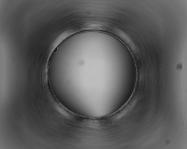 X0000102341370200808081120