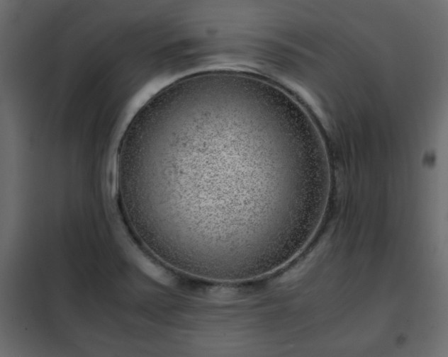 X0000102341371200808081120