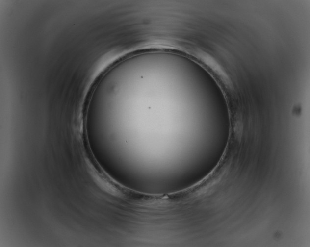 X0000102341372200808081120