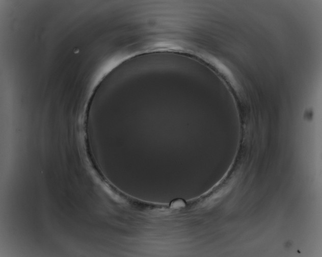 X0000102341373200808081120