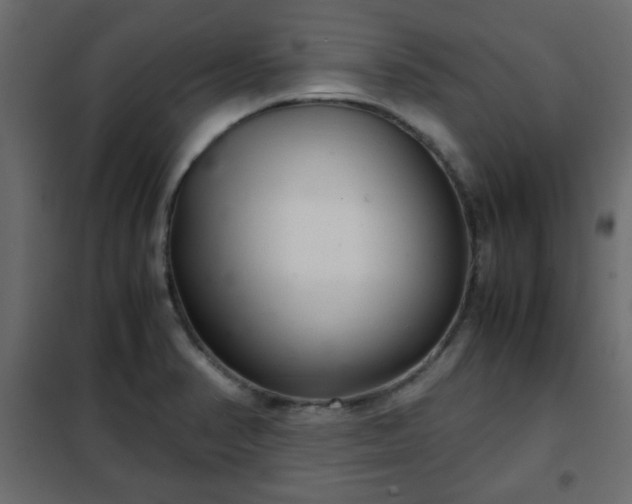 X0000102341374200808081120