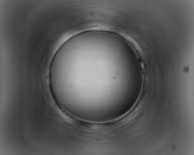 X0000102341375200808081120