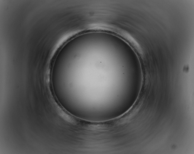 X0000102341376200808081120