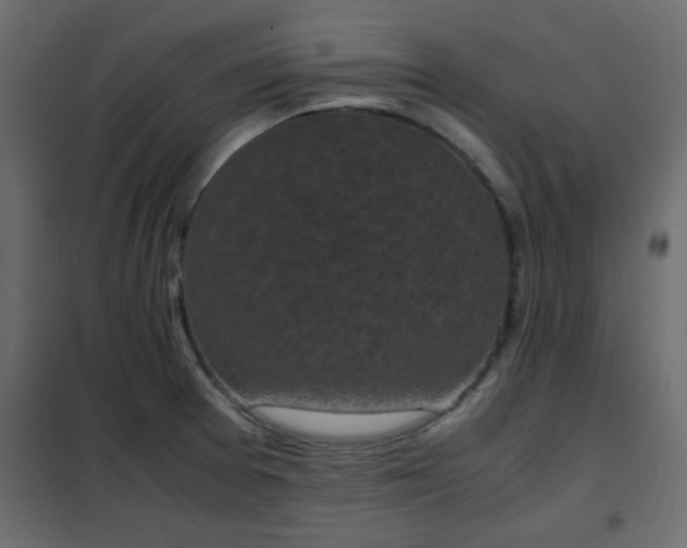 X0000102341377200808081120