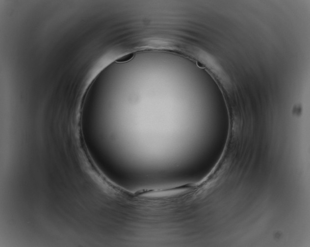 X0000102341378200808081120