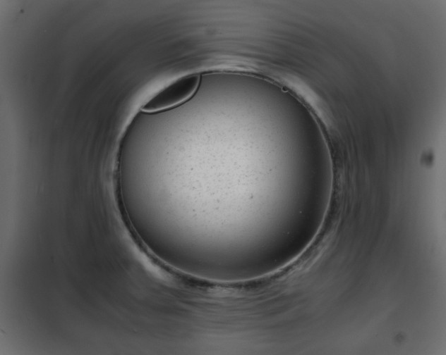 X0000102341379200808081120