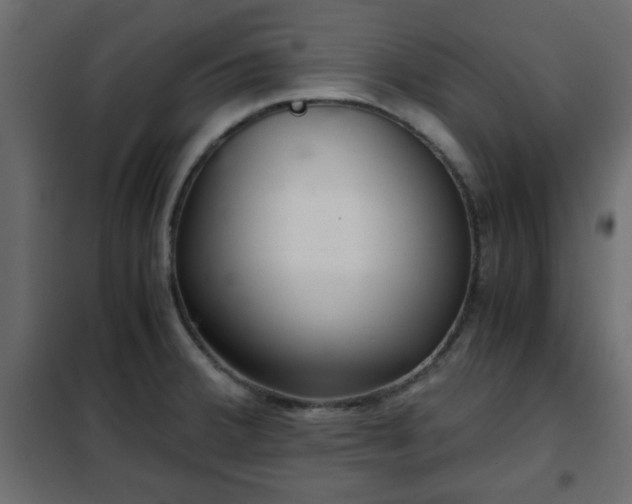 X0000102341380200808081120