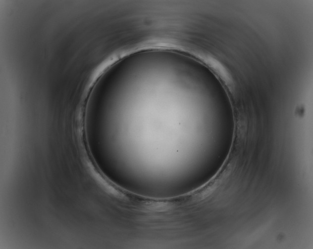 X0000102341382200808081120