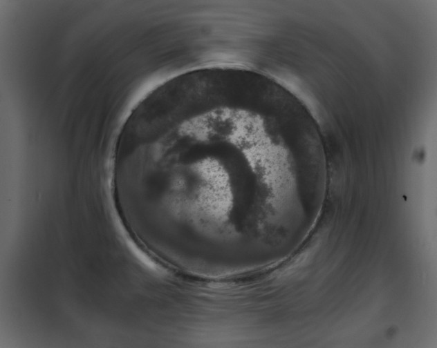 X0000102341383200808081120