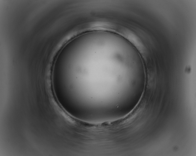 X0000102341384200808081120