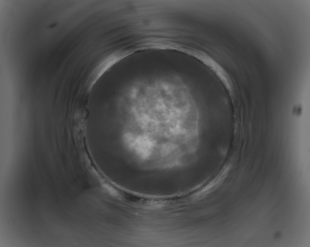 X0000102341385200808081120