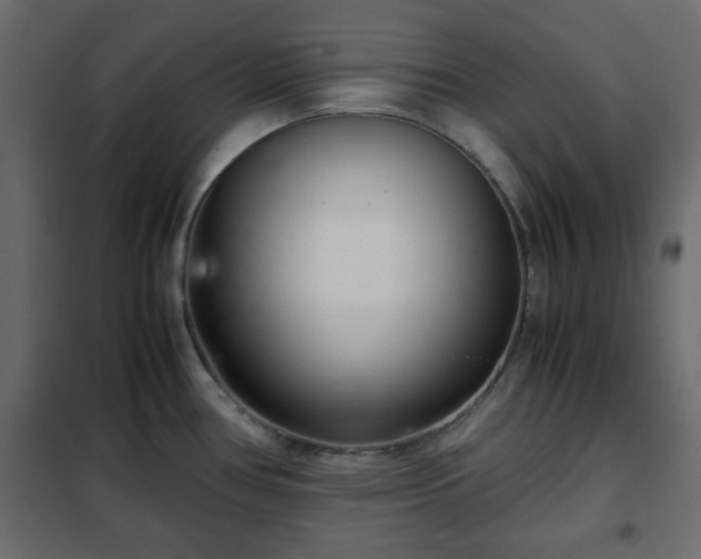 X0000102341386200808081120