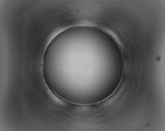 X0000102341387200808081120