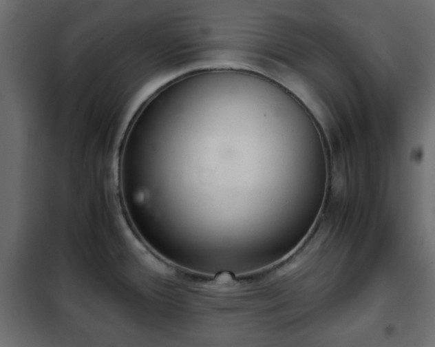 X0000102341388200808081120