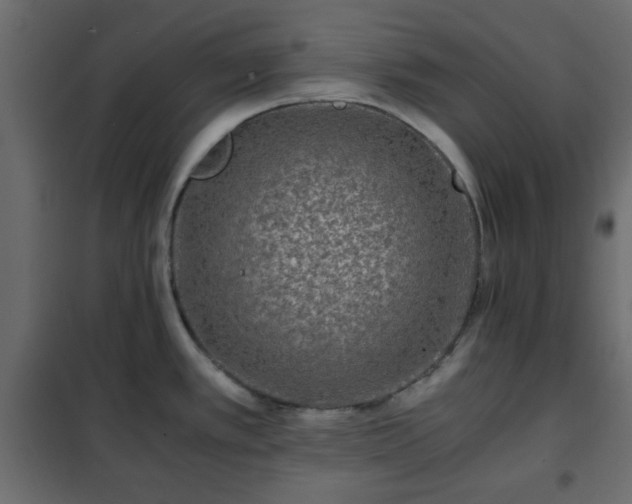 X0000102341389200808081120