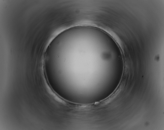 X0000102341390200808081120