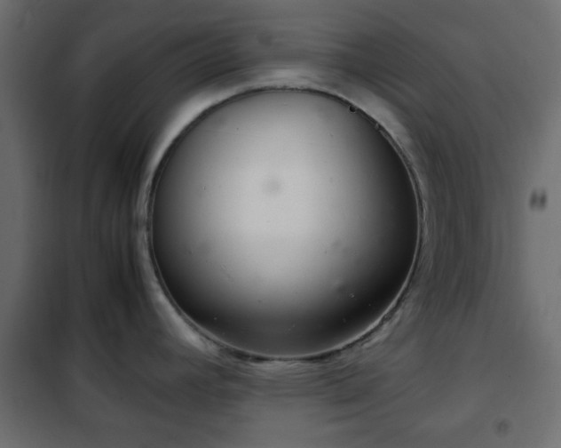 X0000102341392200808081120