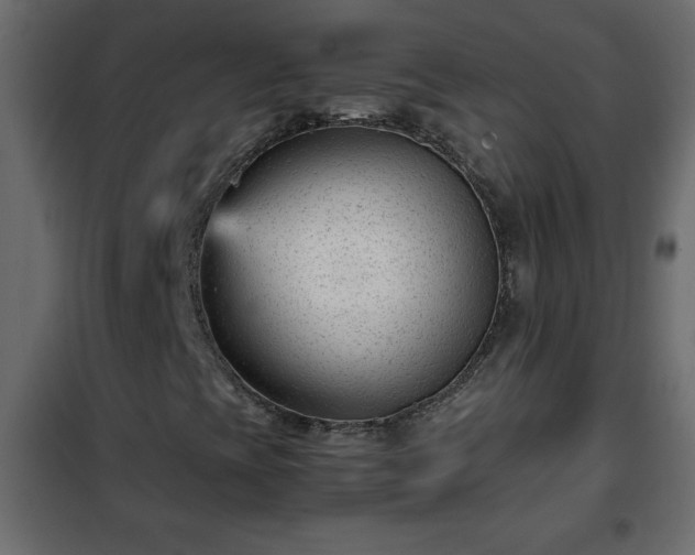 X0000102341393200808081119