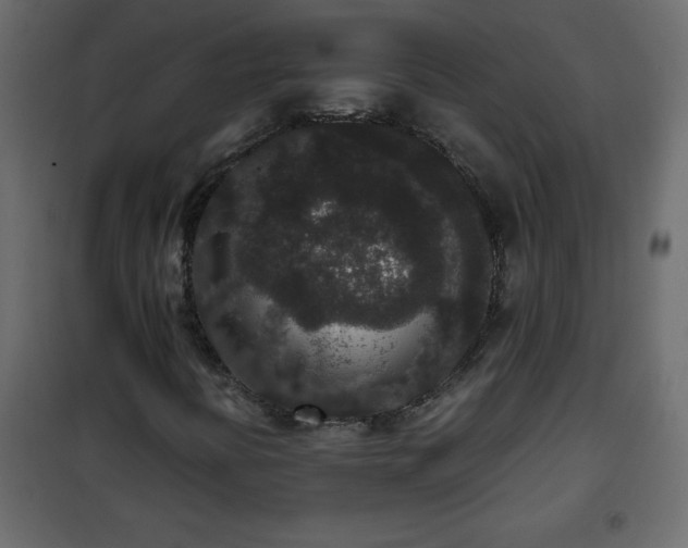 X0000102341394200808081119