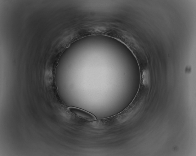 X0000102341395200808081119