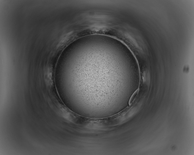 X0000102341396200808081119