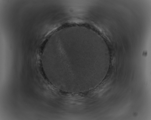 X0000102341397200808081119