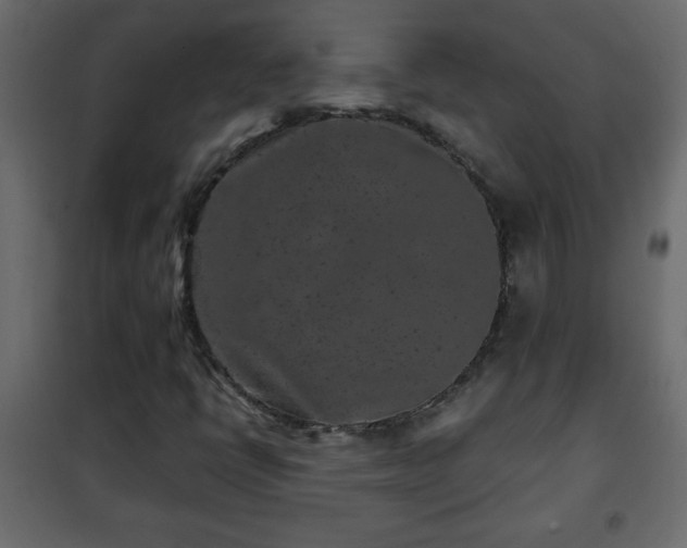 X0000102341398200808081119