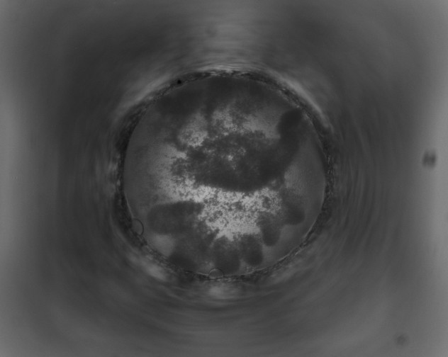 X0000102341399200808081119