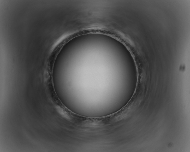 X0000102341400200808081119