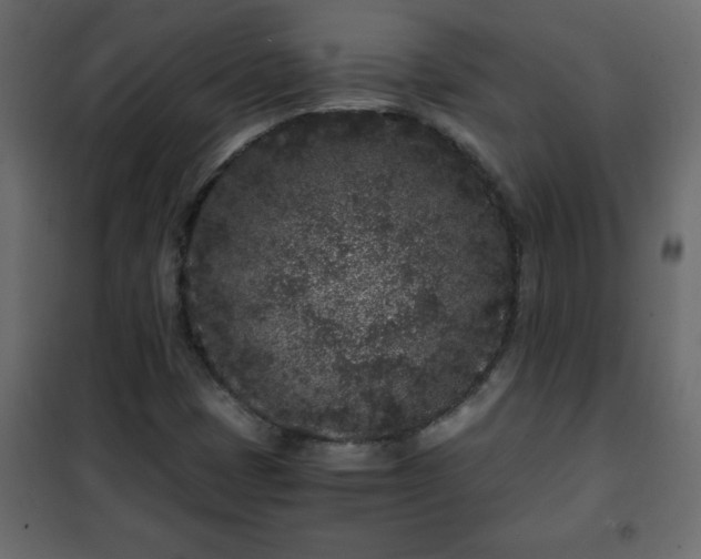 X0000102341401200808081119