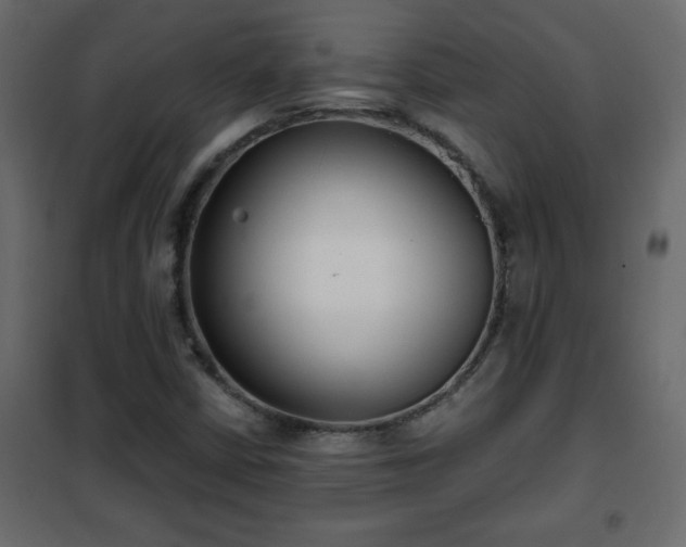 X0000102341402200808081119