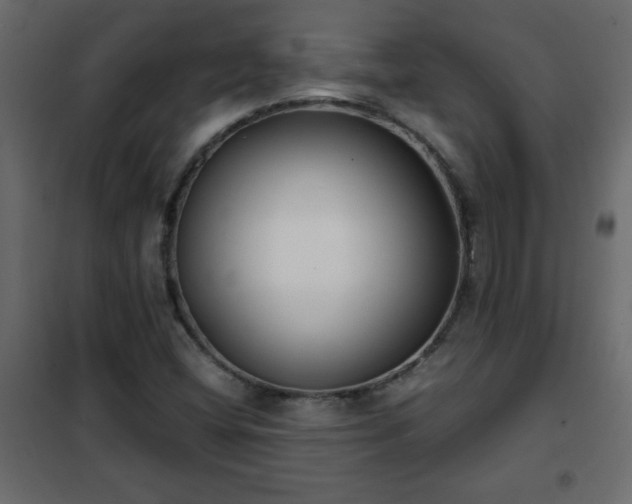 X0000102341404200808081119