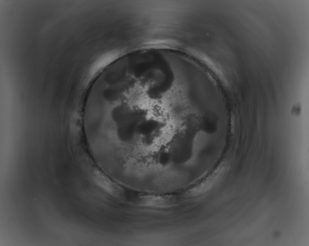 X0000102341405200808081119