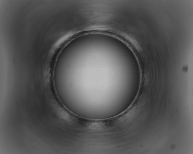 X0000102341406200808081119