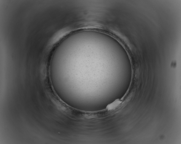 X0000102341407200808081119