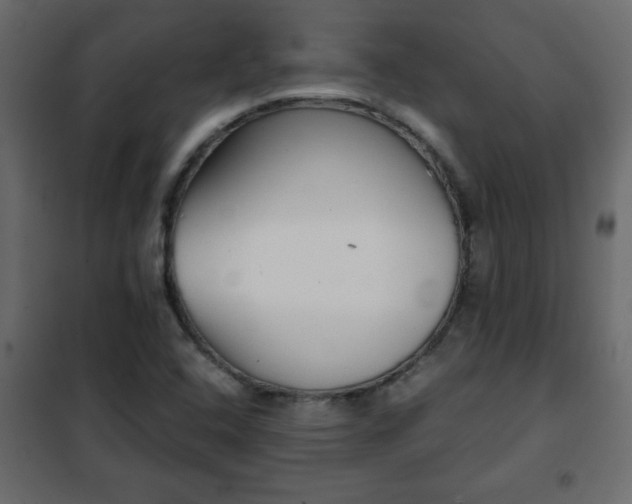 X0000102341408200808081119